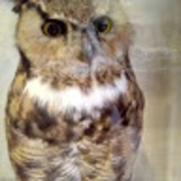 Meet your Posher, Jim - Picture 2 of 2